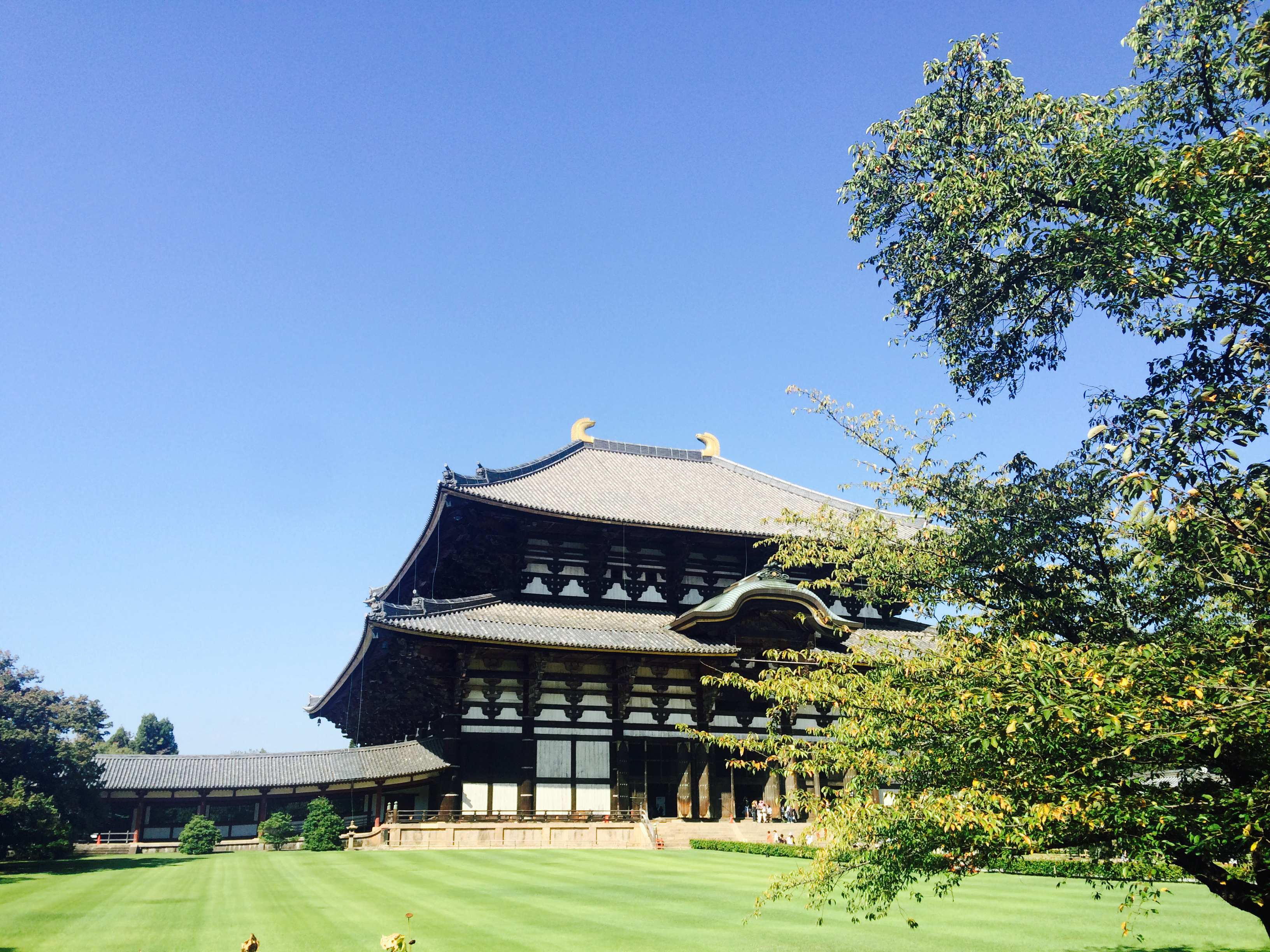 Japan: Osaka & Nara