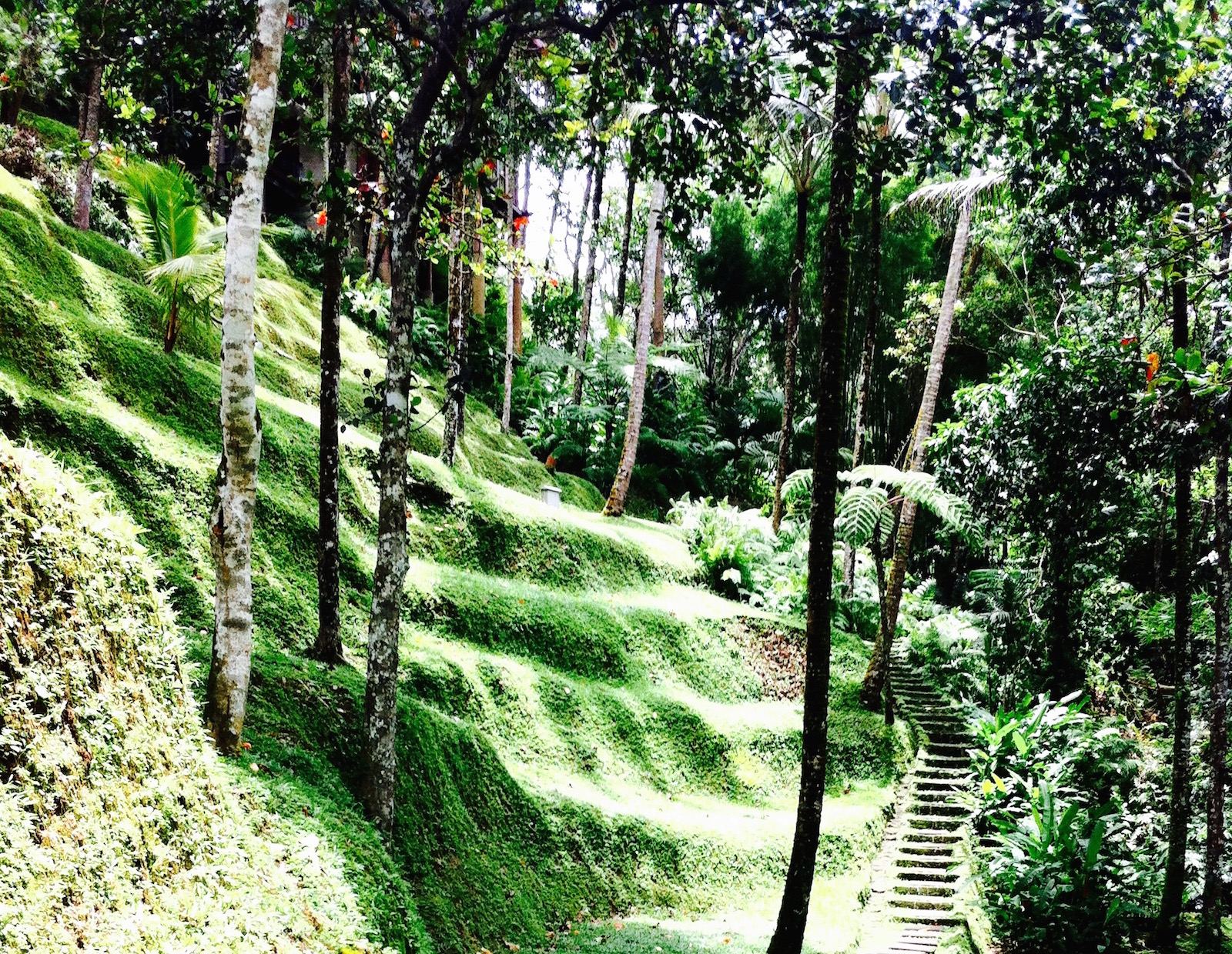 Detoxing in Southeast Asia