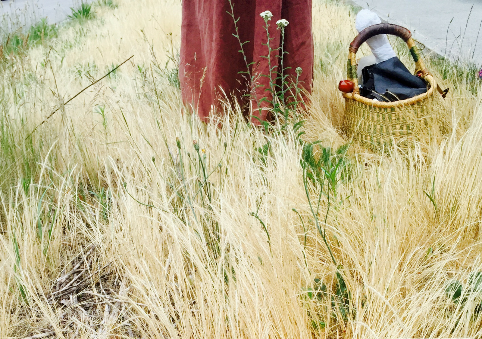 Lori Snyder Metis Herbalist