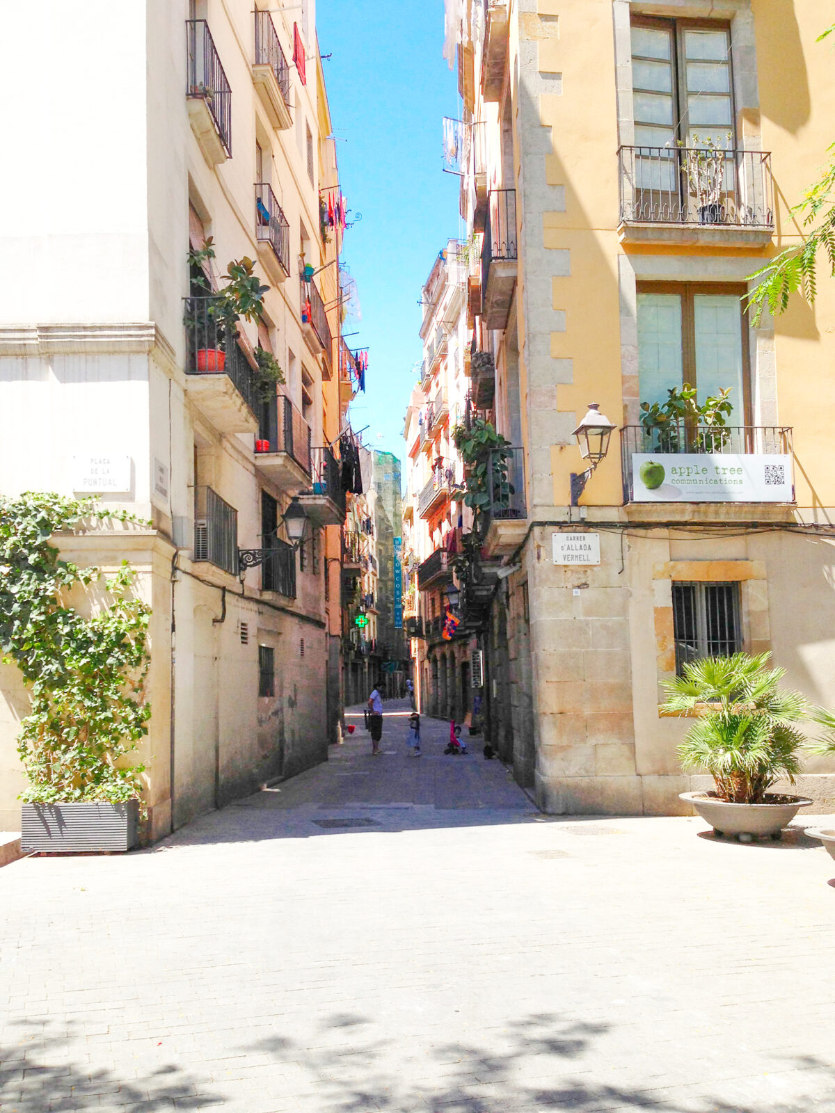 Barcelona in the Summer