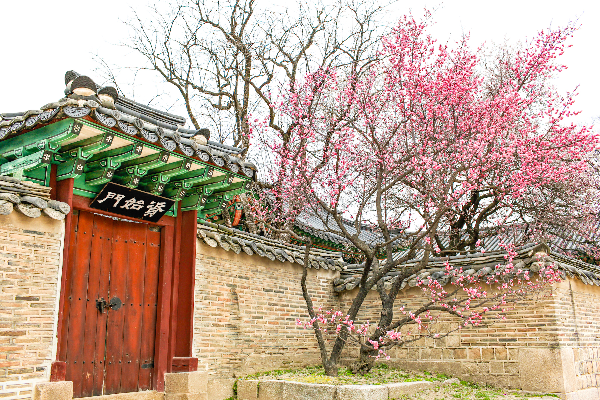 A Week in Seoul