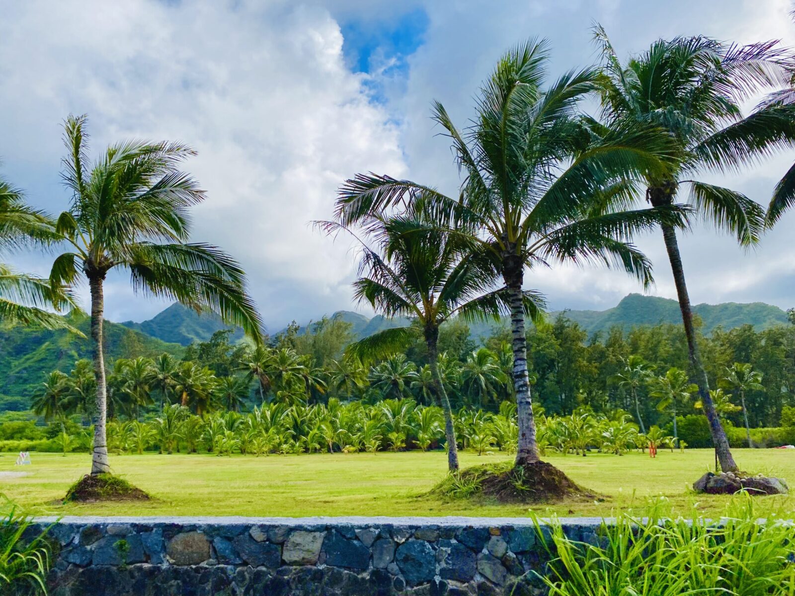 O’ahu North Shore