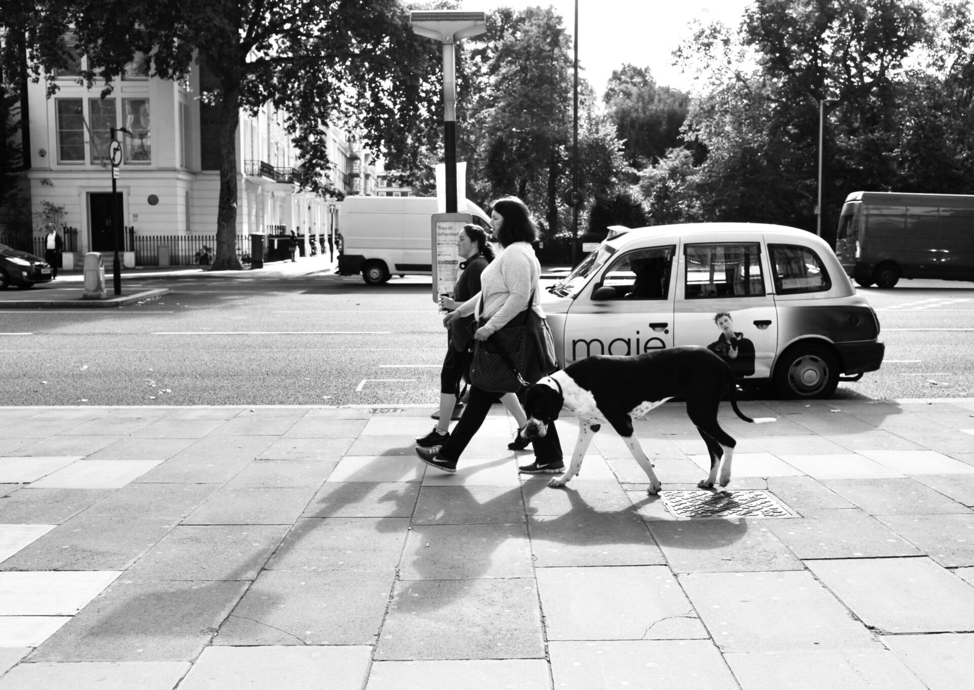 a couple of women walking a Great Dane with a London Taxi in the background