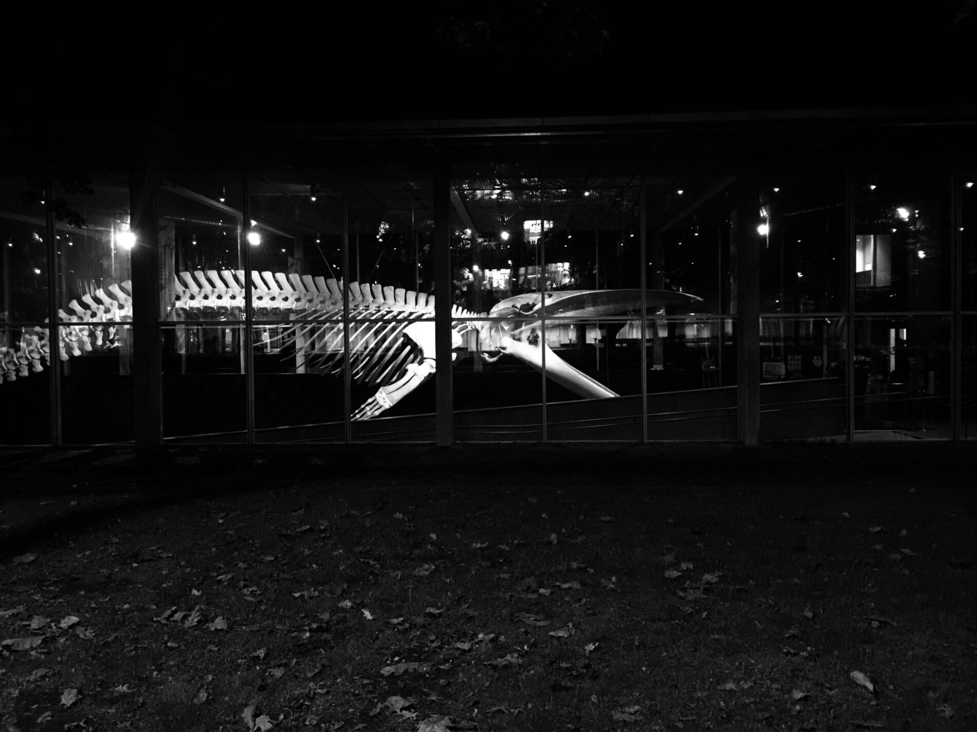 Shadows, Strings & Other Things at Vancouver’s Museum of Anthropology