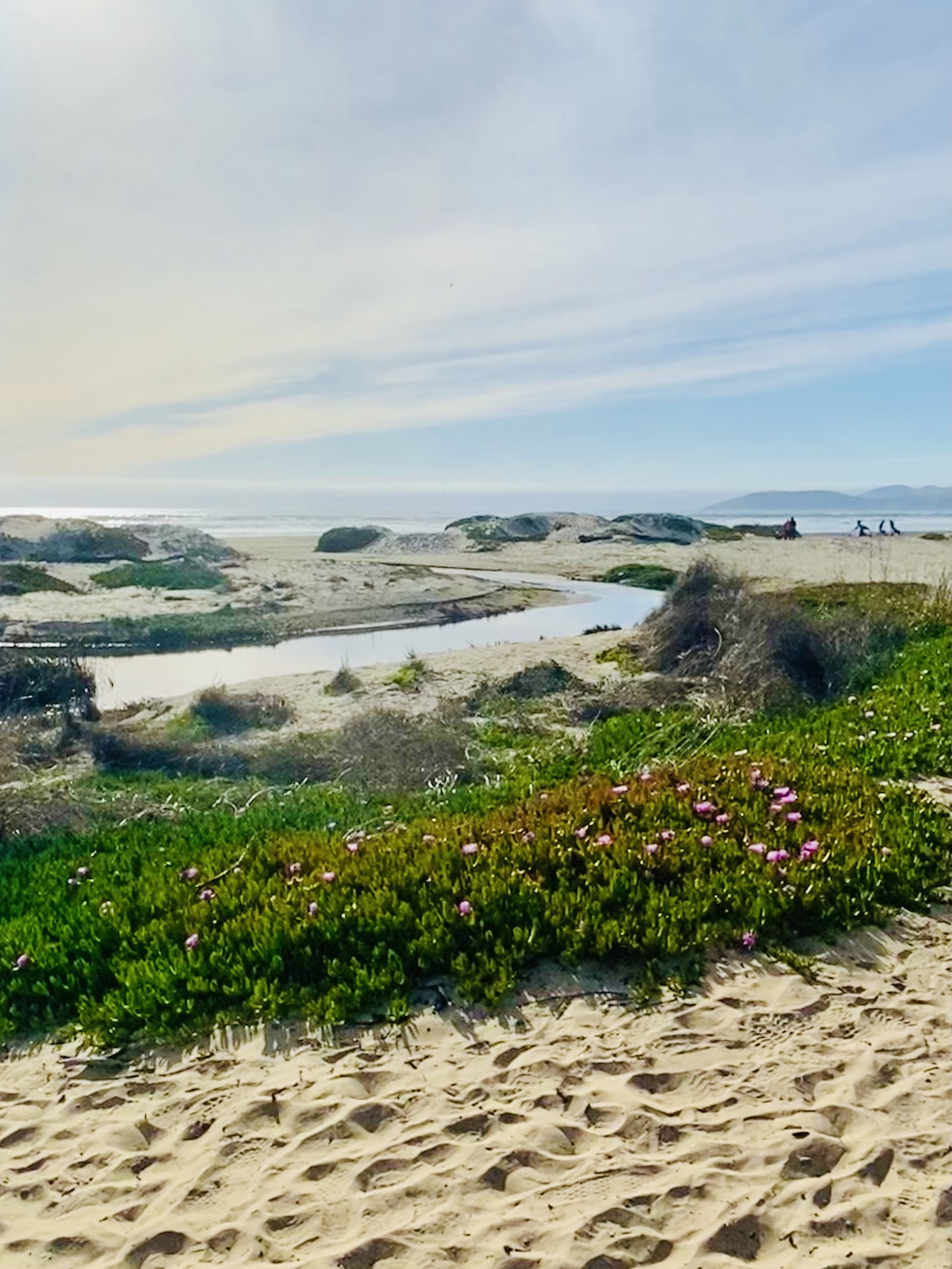 Butterfly Grove & Pismo Beach