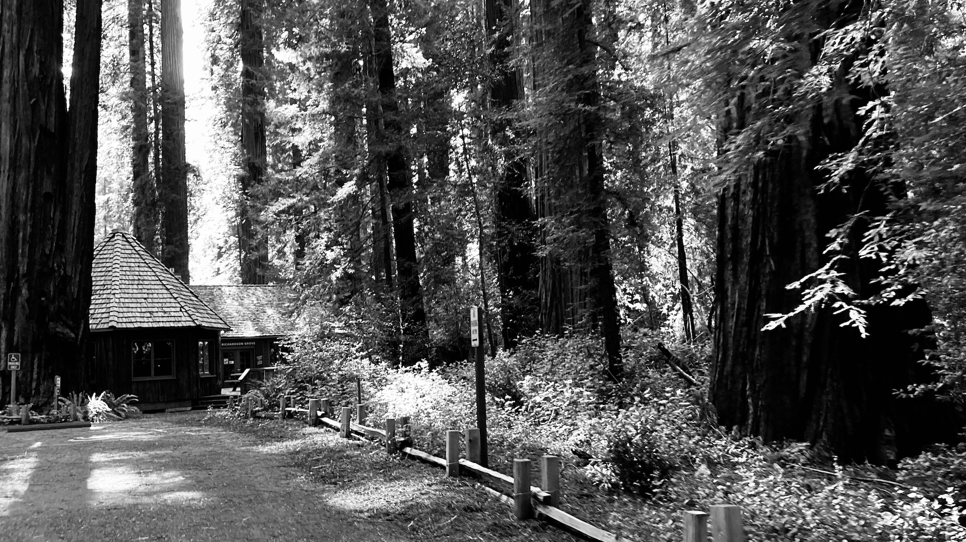 Camping at Richardson Grove