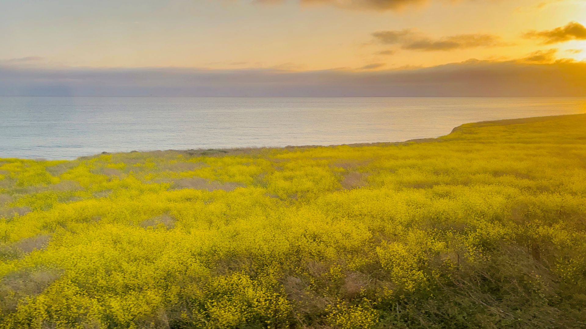 Pacific Surfliner : North from Los Angeles
