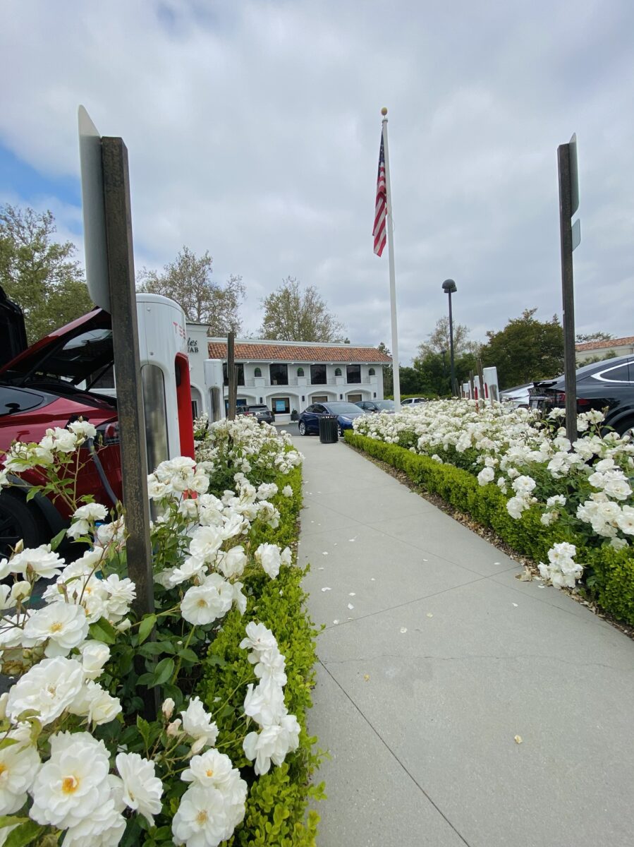 California Trips in Electric Cars